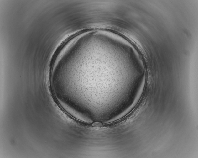 X0000112360992200909031906