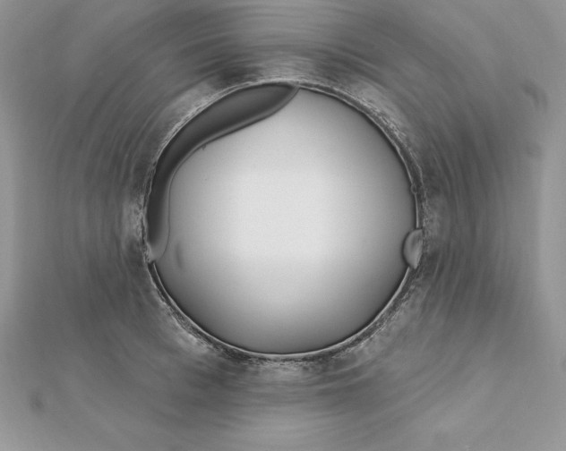 X0000112360993200909031906