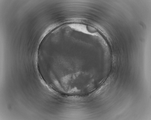 X0000112360994200909031906