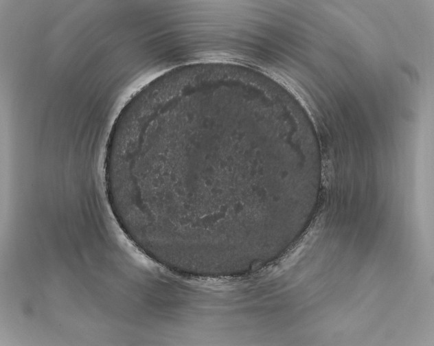 X0000112360995200909031906