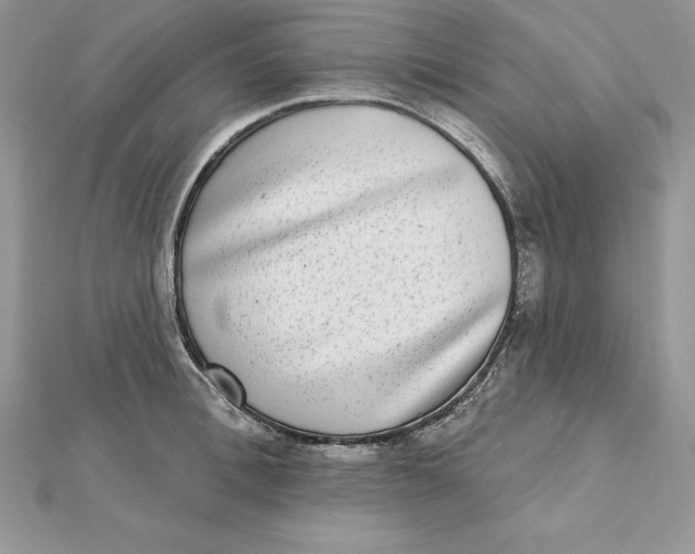 X0000112360996200909031906