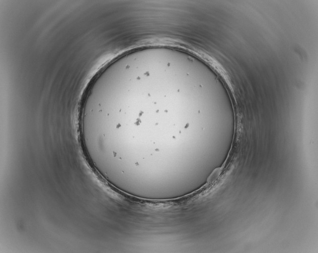 X0000112360997200909031906