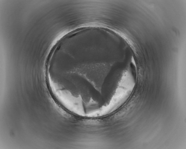 X0000112360998200909031906