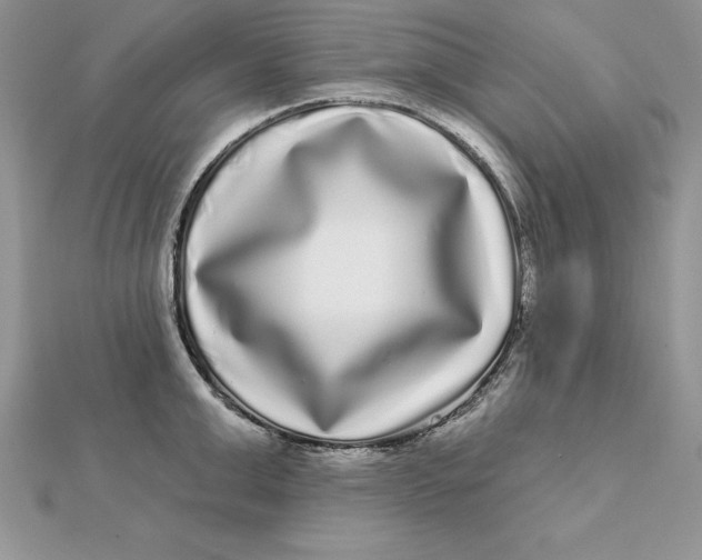 X0000112360999200909031906