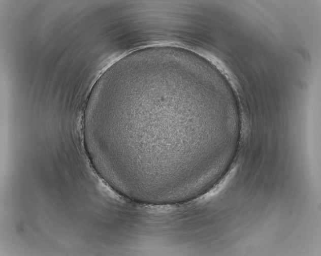 X0000112361001200909031906