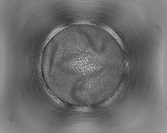 X0000112361002200909031906