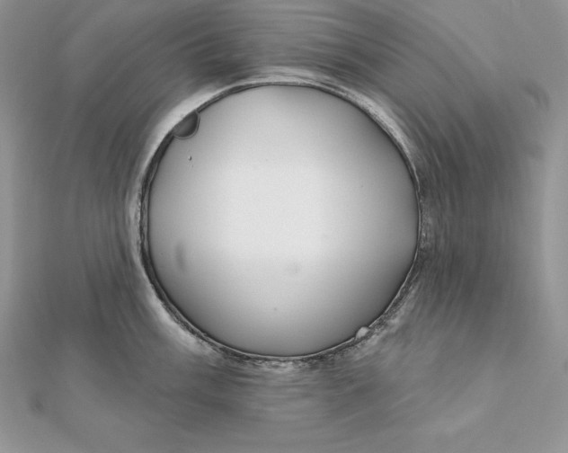 X0000112361003200909031906