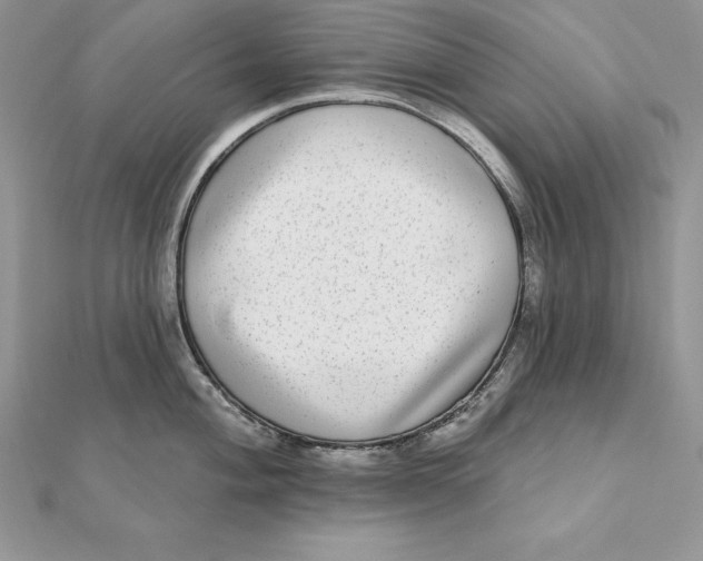 X0000112361004200909031906