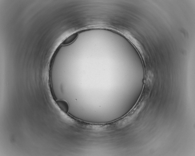 X0000112361005200909031906