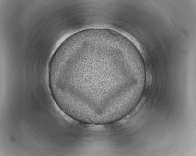 X0000112361006200909031906