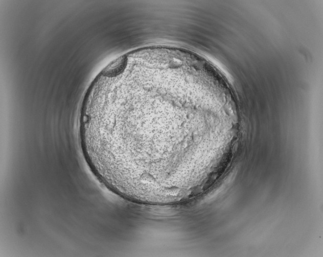 X0000112361007200909031906