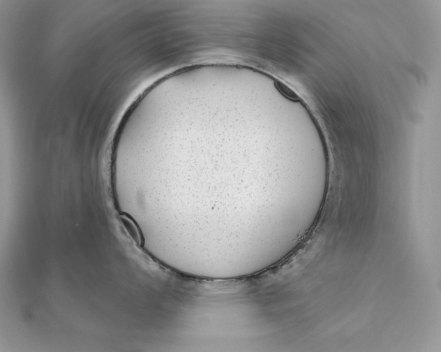 X0000112361008200909031906