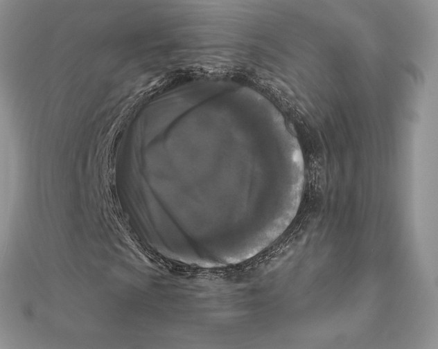 X0000112361009200909031905