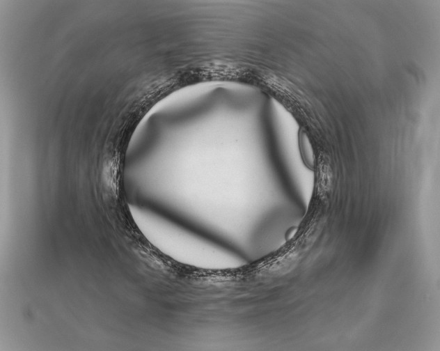 X0000112361010200909031905