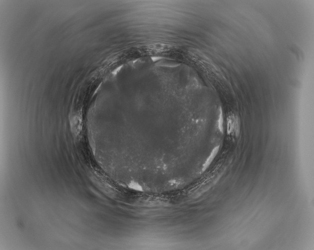 X0000112361011200909031905