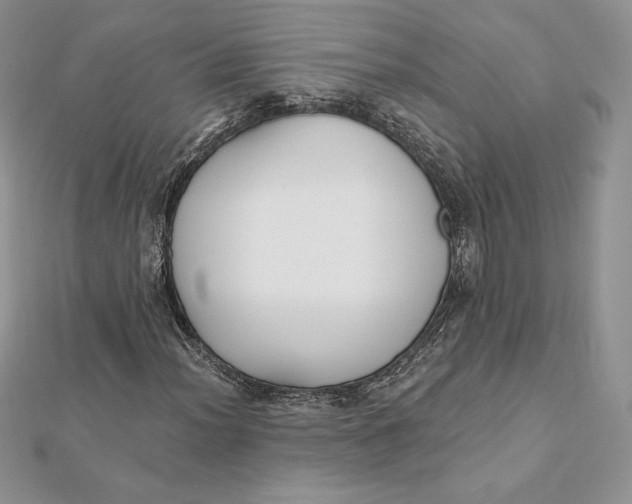 X0000112361012200909031905