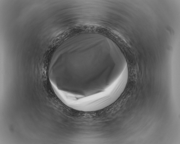 X0000112361013200909031905