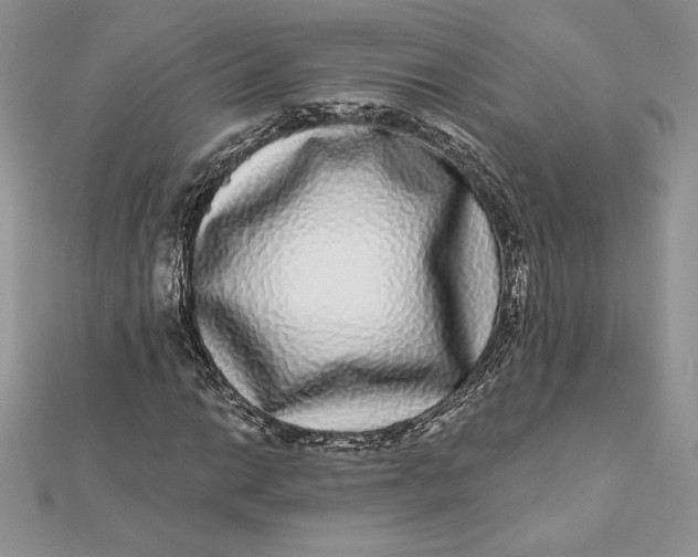 X0000112361014200909031905