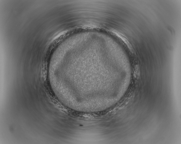 X0000112361015200909031905