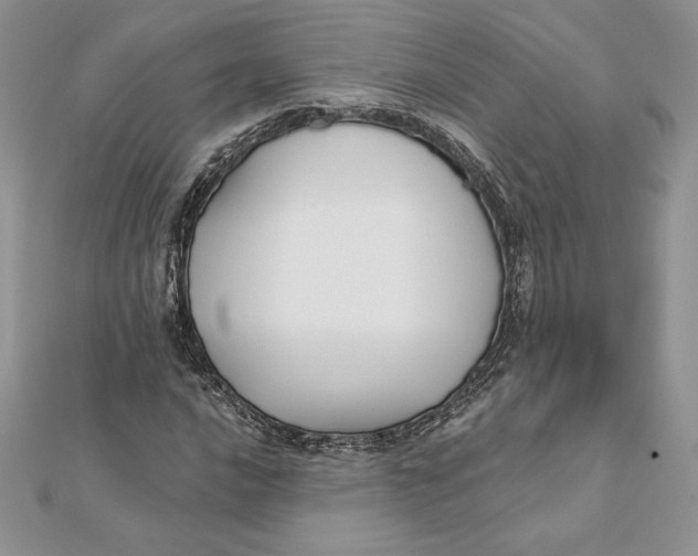 X0000112361016200909031905