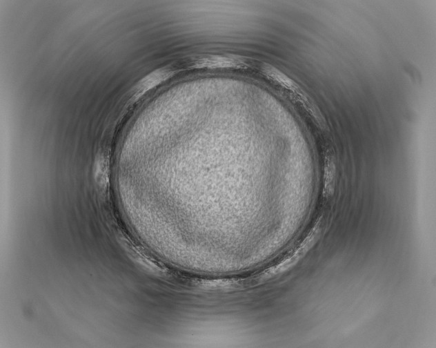 X0000112361017200909031905