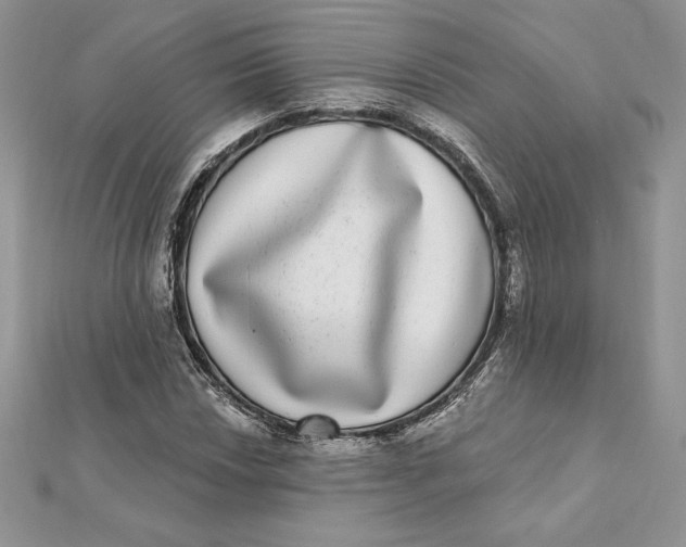 X0000112361018200909031905