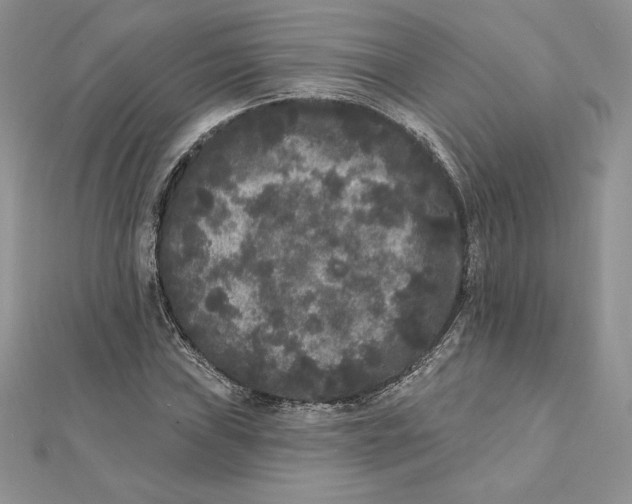 X0000112361019200909031905