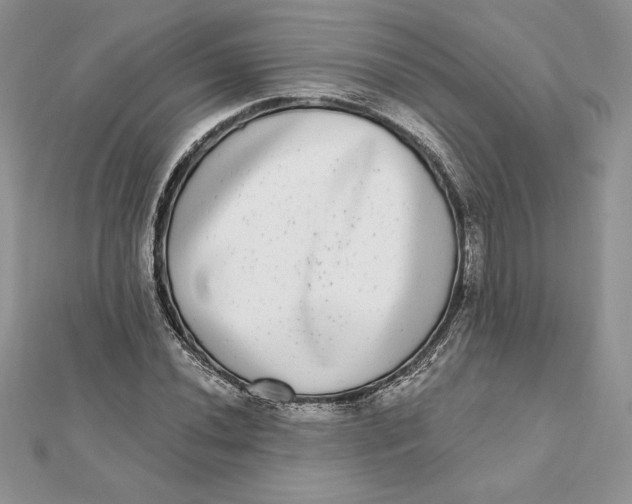 X0000112361020200909031905