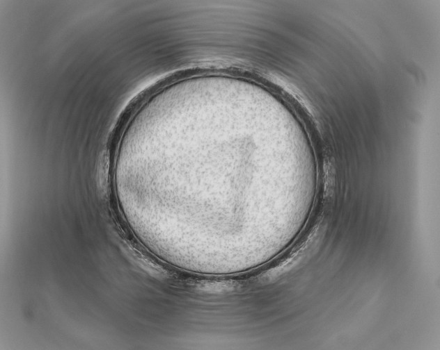 X0000112361021200909031905