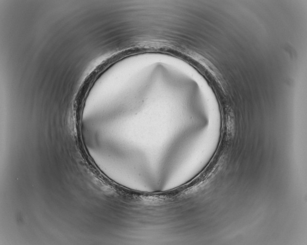 X0000112361022200909031905