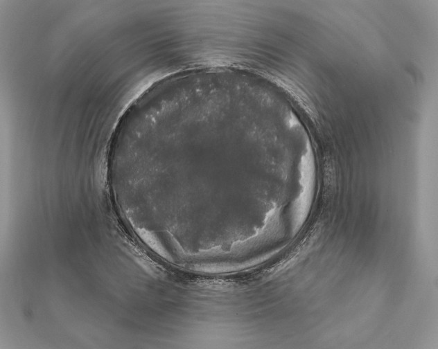 X0000112361023200909031905