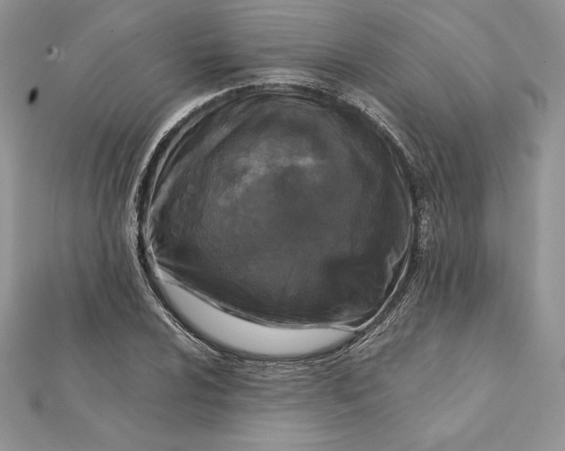 X0000112361024200909031905