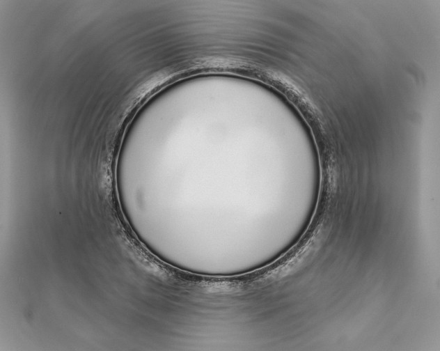 X0000112361025200909031906