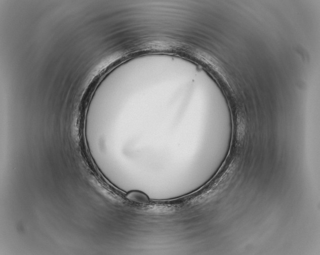 X0000112361026200909031906