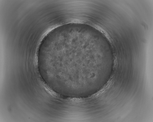 X0000112361027200909031906