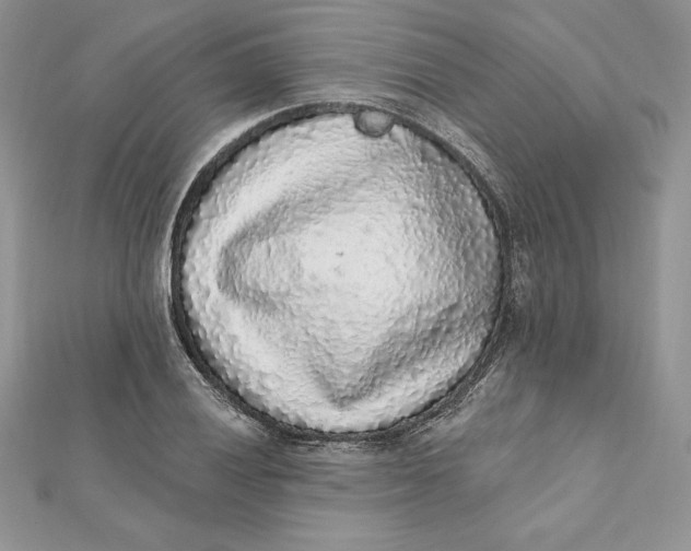 X0000112361028200909031906