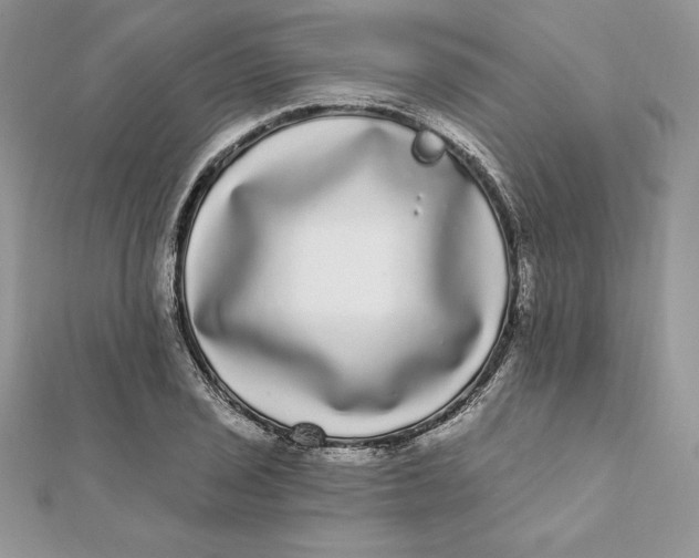 X0000112361029200909031906