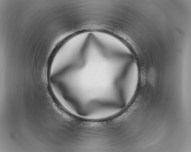 X0000112361030200909031906