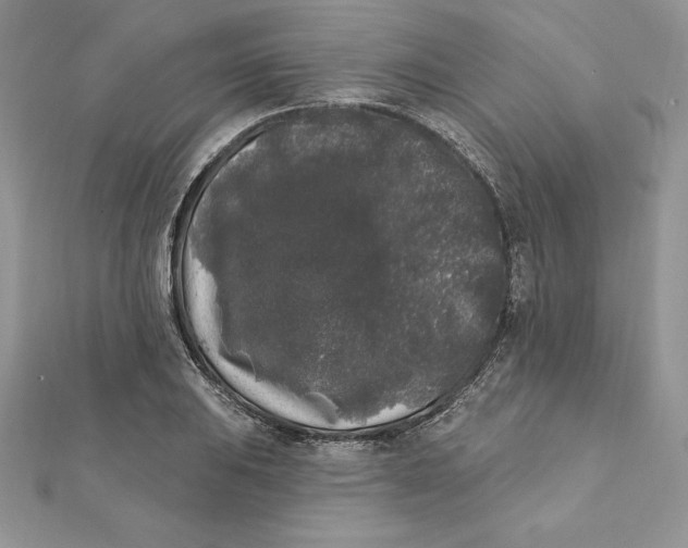 X0000112361031200909031906