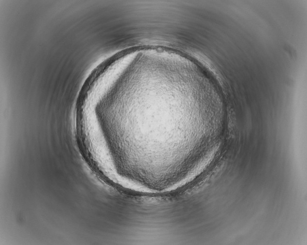 X0000112361032200909031906