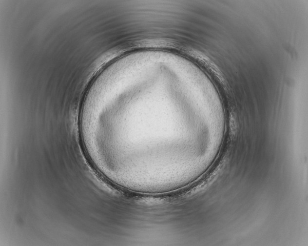 X0000112361033200909031906