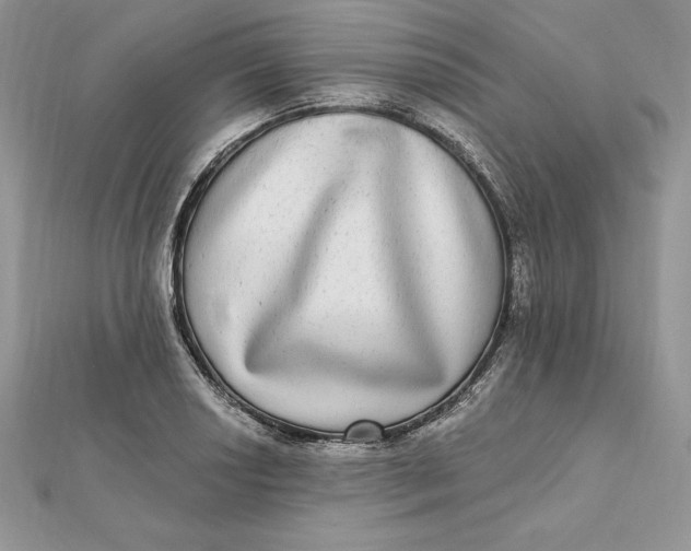 X0000112361034200909031906