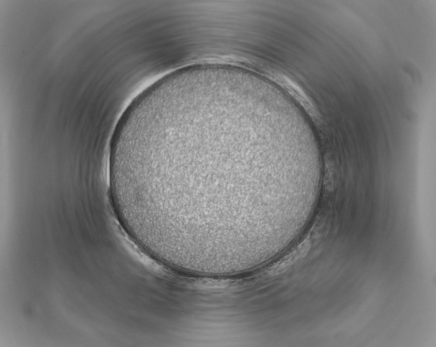 X0000112361036200909031906