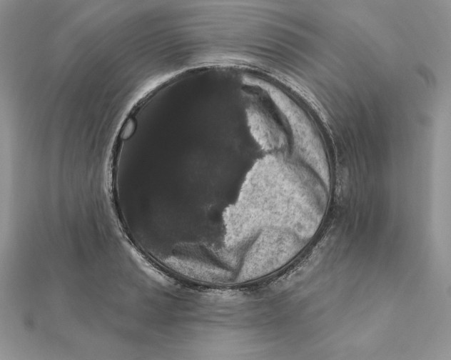 X0000112361037200909031906