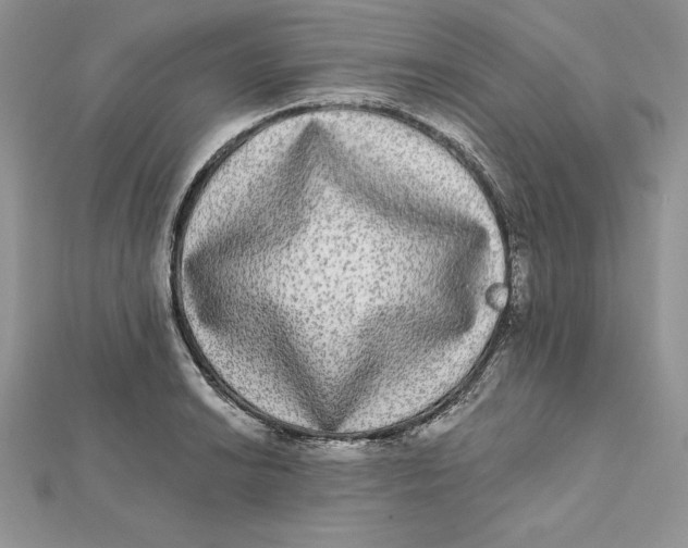 X0000112361038200909031906