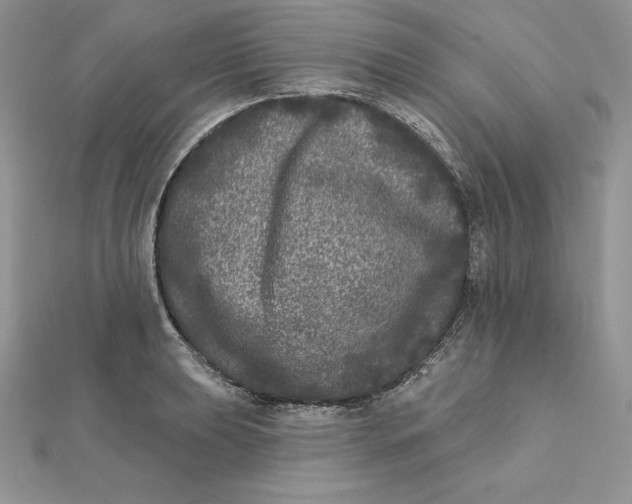 X0000112361039200909031906