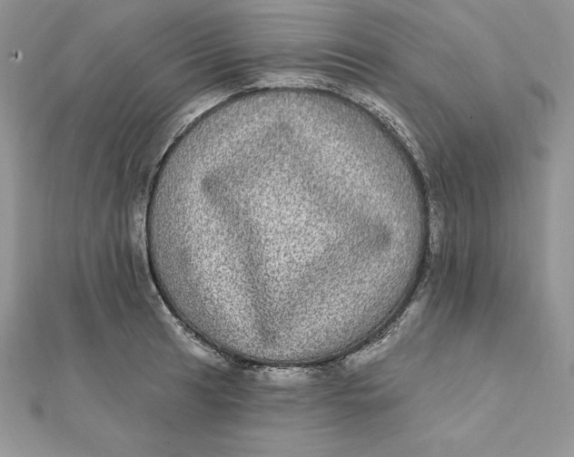 X0000112361041200909031906