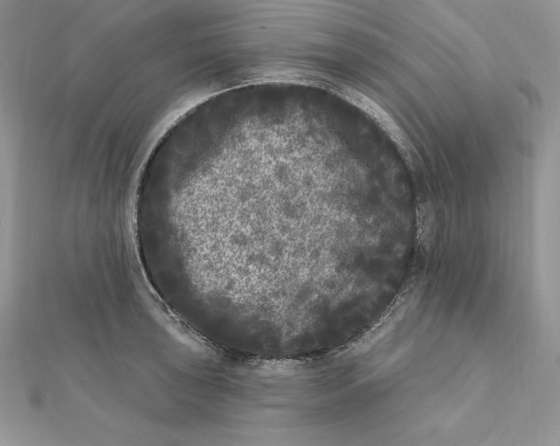 X0000112361043200909031906