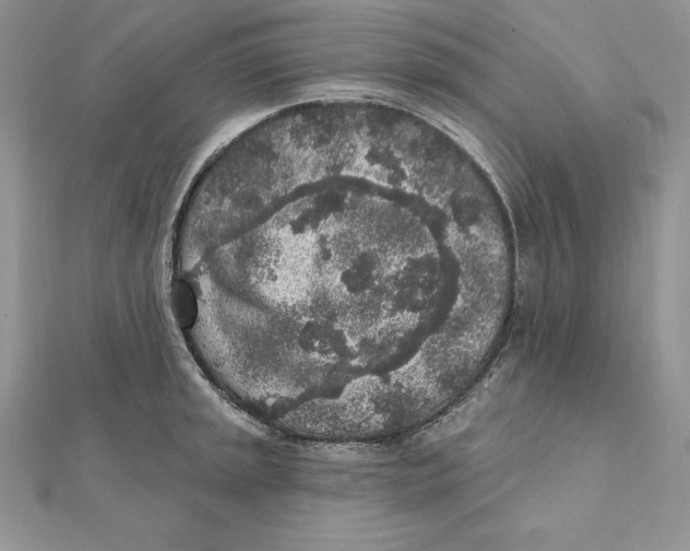 X0000112361045200909031906