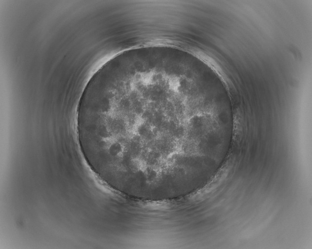 X0000112361047200909031906